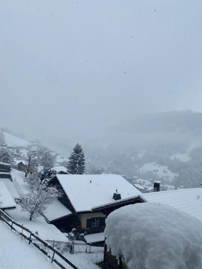 Rooms With Private Bathrooms Saas im Prattigau 外观 照片